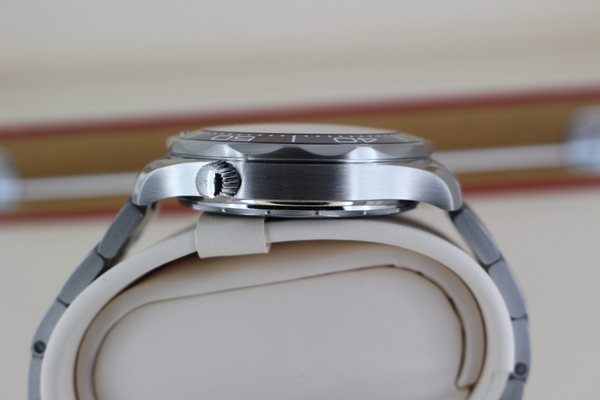 Omega Seamaster Diver Black 300m case