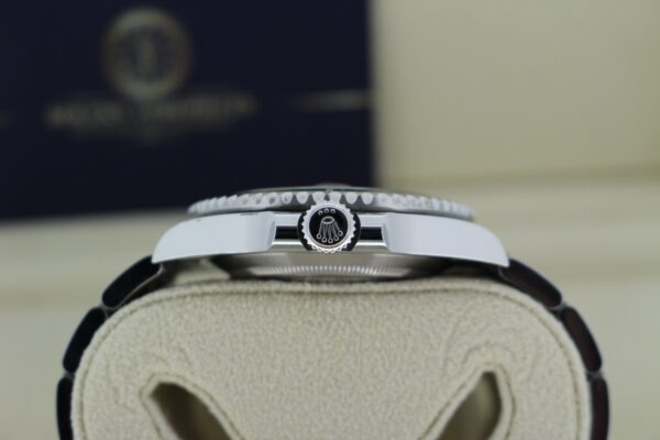 Rolex Submariner Crown and Case Side