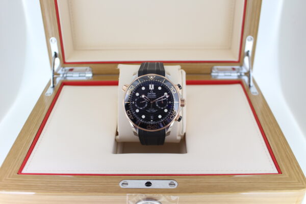 Omega Seamaster 300 Sedna - Image 3
