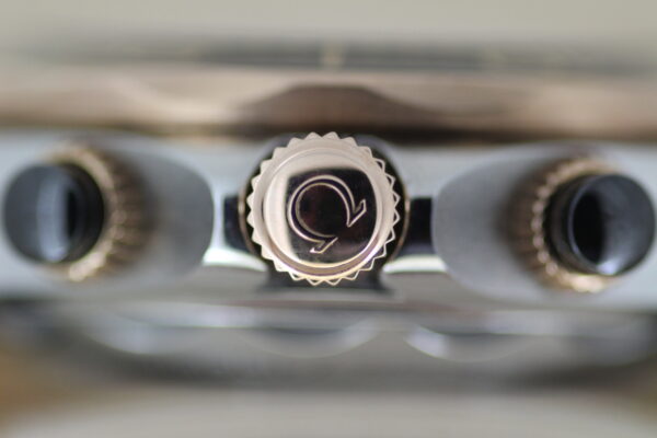 Omega Seamaster Sedna, close up of crown
