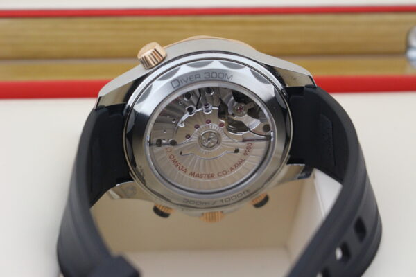 Omega Seamaster Sedna, sapphire case back