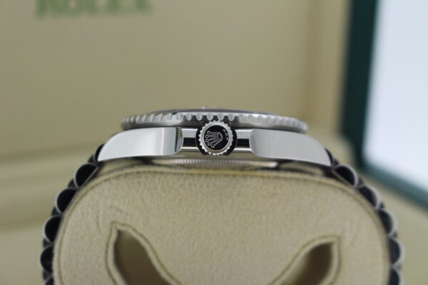 Rolex GMT crown and case side