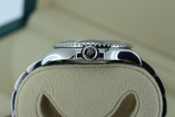 Rolex Yacht-Master Crown and case side