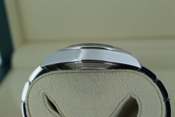 Rolex Explorer II 226570 case