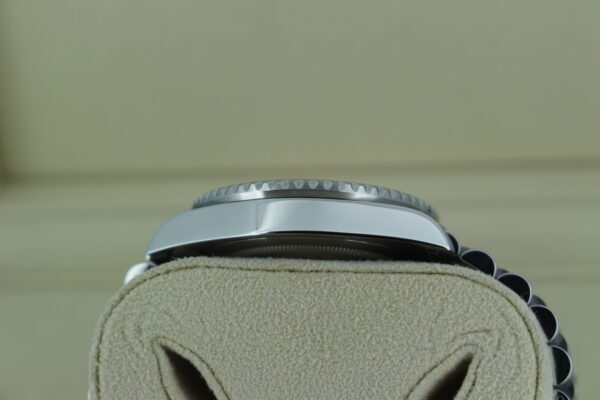 Rolex GMT Master II Pepsi 126710BLRO view of case