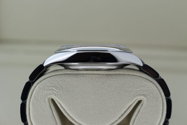 Rolex Oyster Perpetual 41 134300 case