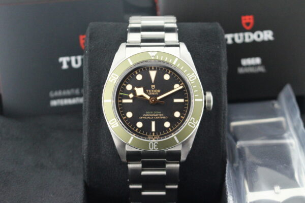 Tudor Black Bay 41 M79230G-0001 black dial and green bezel
