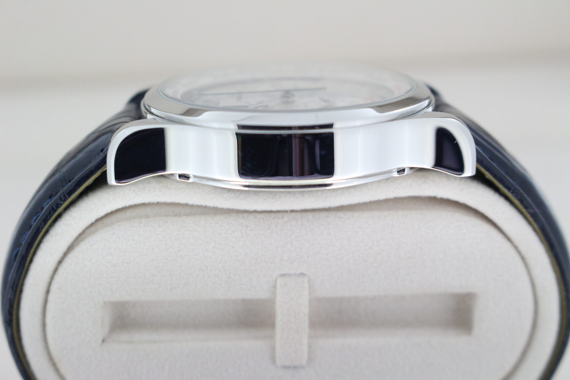 Jaeger-LeCoultre Master Geographic World Timer case